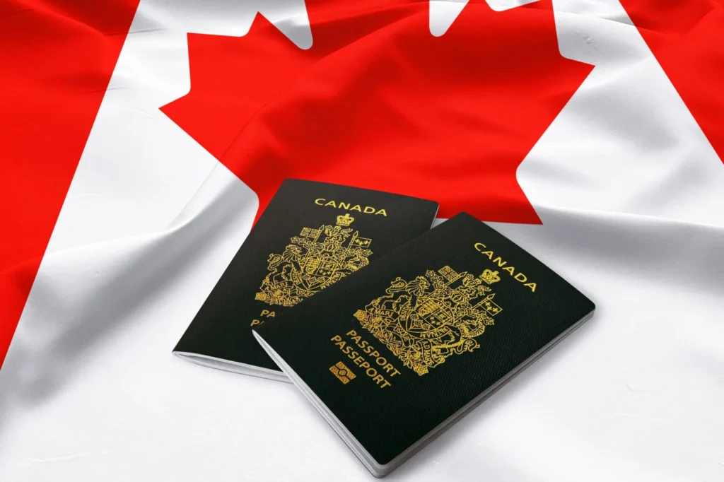 self employed person canada scaled